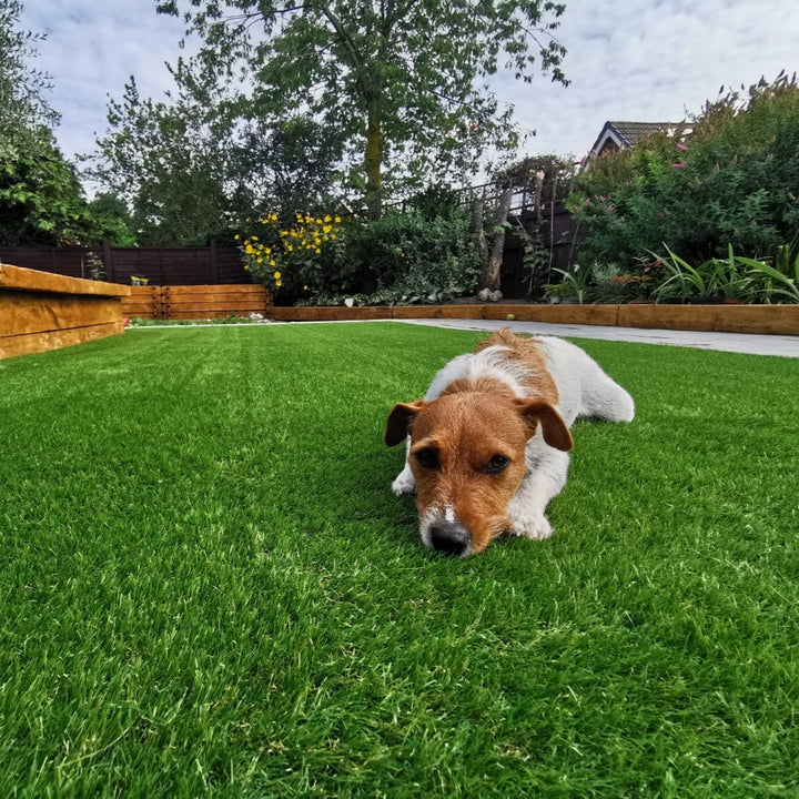Pet 30mm - £15 per sqm