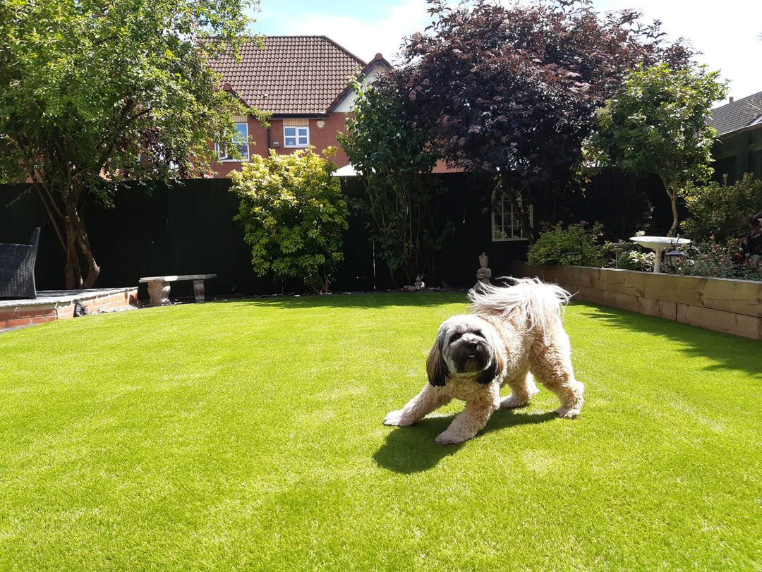 Pet 25mm - £13 per sqm