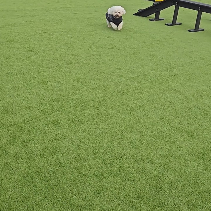 Pet 25mm - £13 per sqm