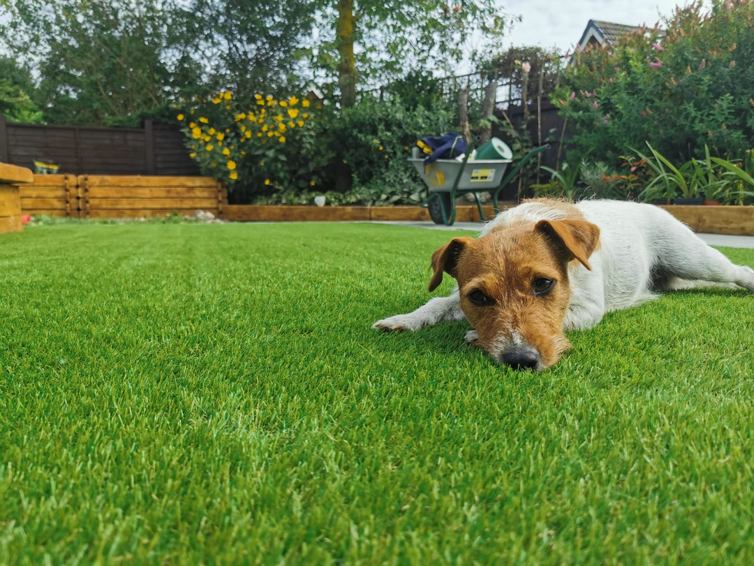 Artificial grass tips for pets