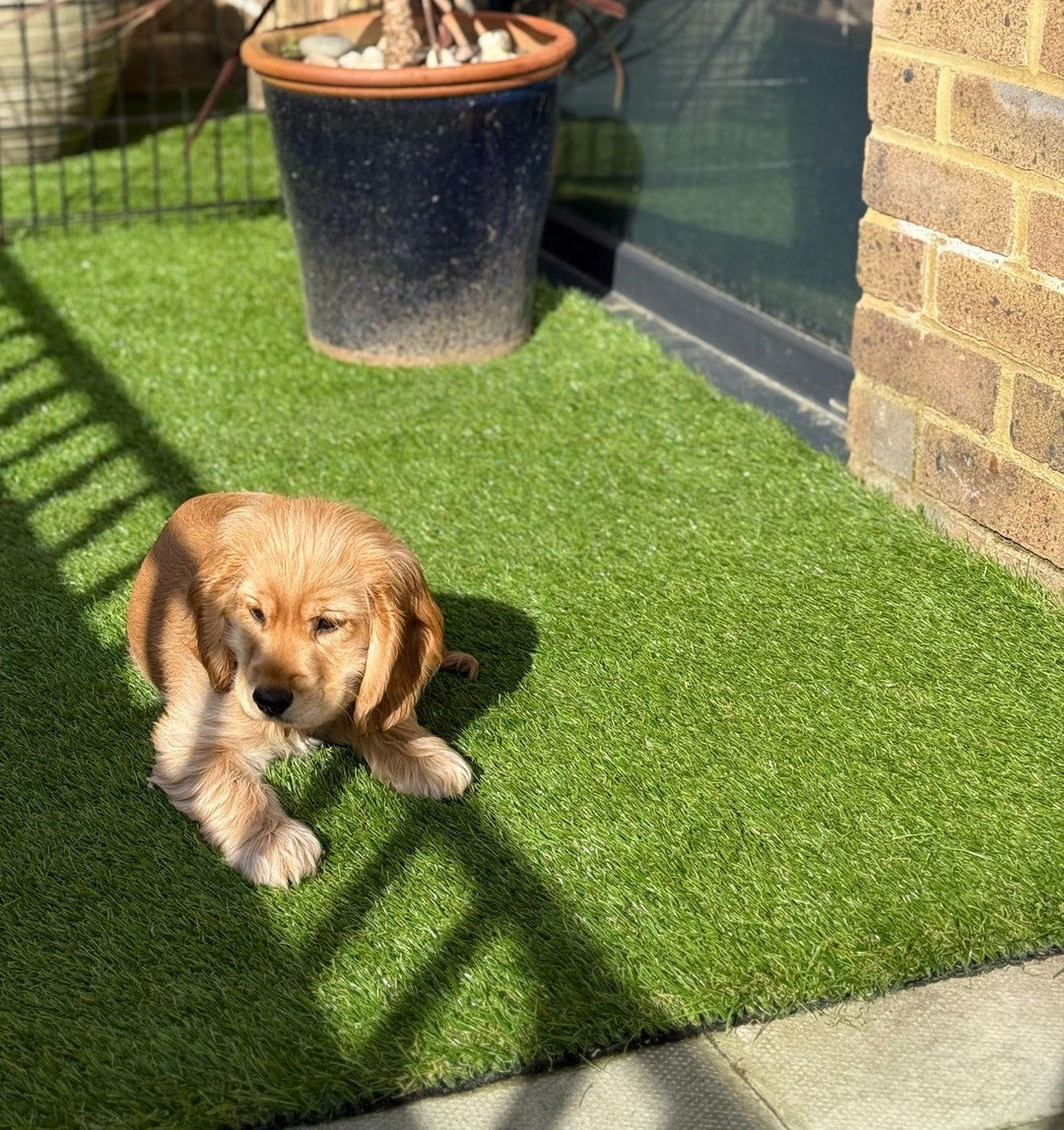 Installing artificial grass on a flat roof or balcony