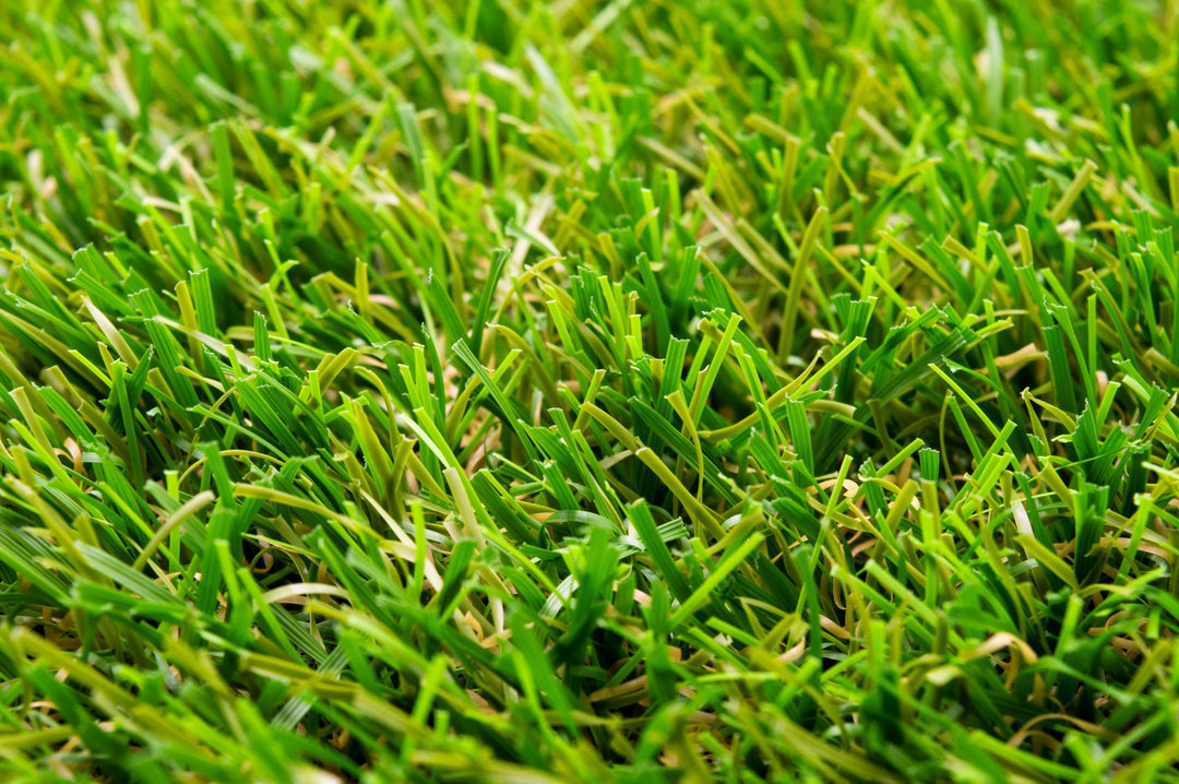 Discover our grass range