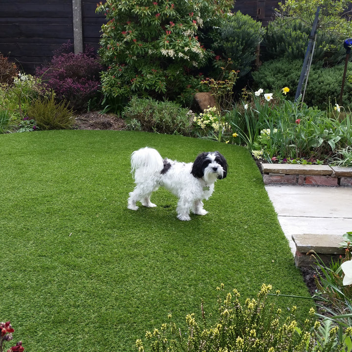 Pet 30mm - £17 per sqm