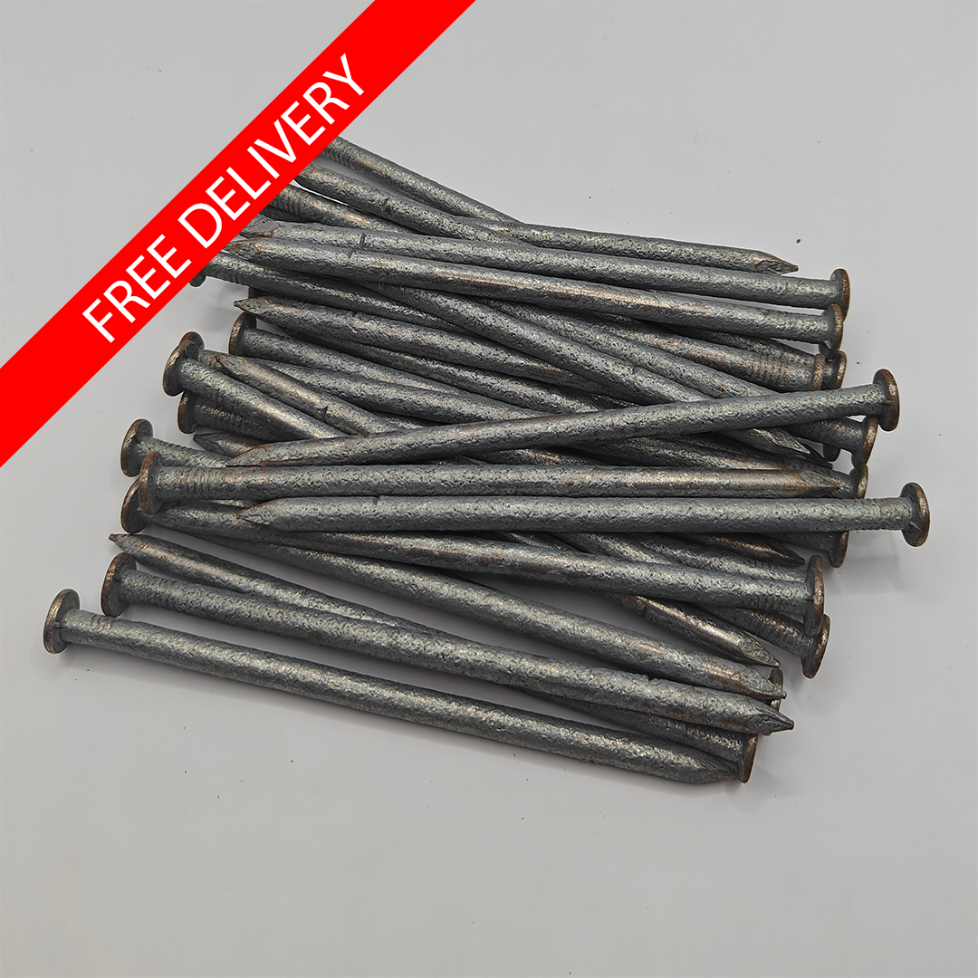 6" Galvanised Nails Pack of 30