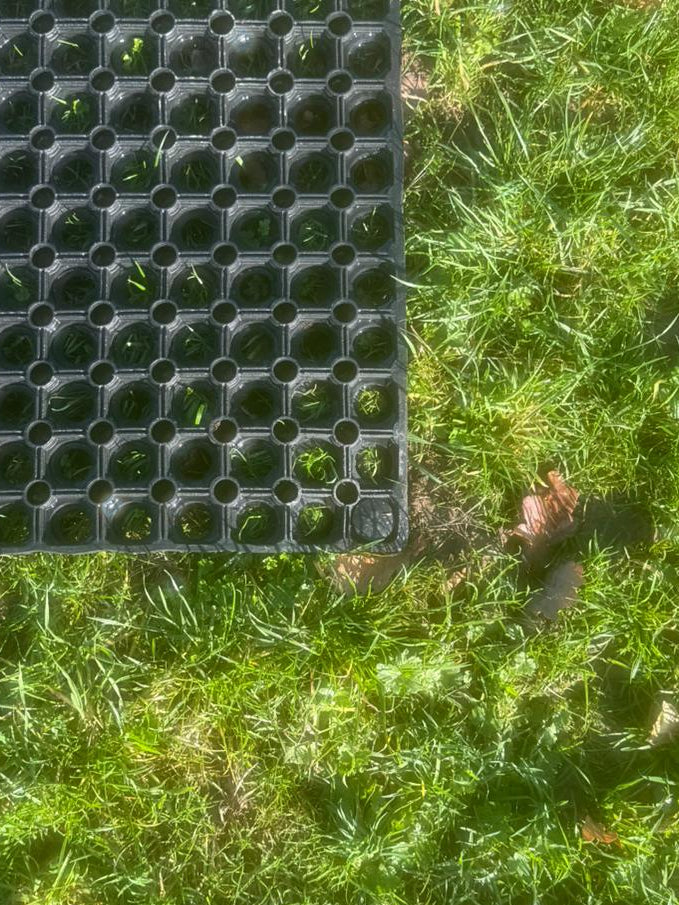 Rubber Mat Plastic Ground Pegs